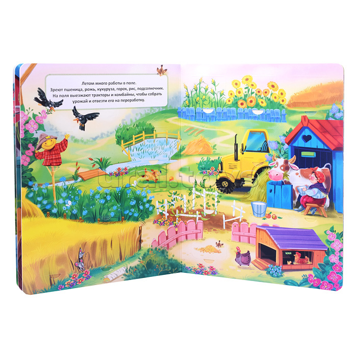 Книжка с окошками "Кто живет в деревне?"