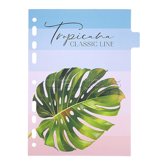 Разделитель листов "Tropicana" A5 (160x210 мм) ламинированный мелованный картон 210 г/м2, с рисунком, 8 шт, индивидуальная упаковка