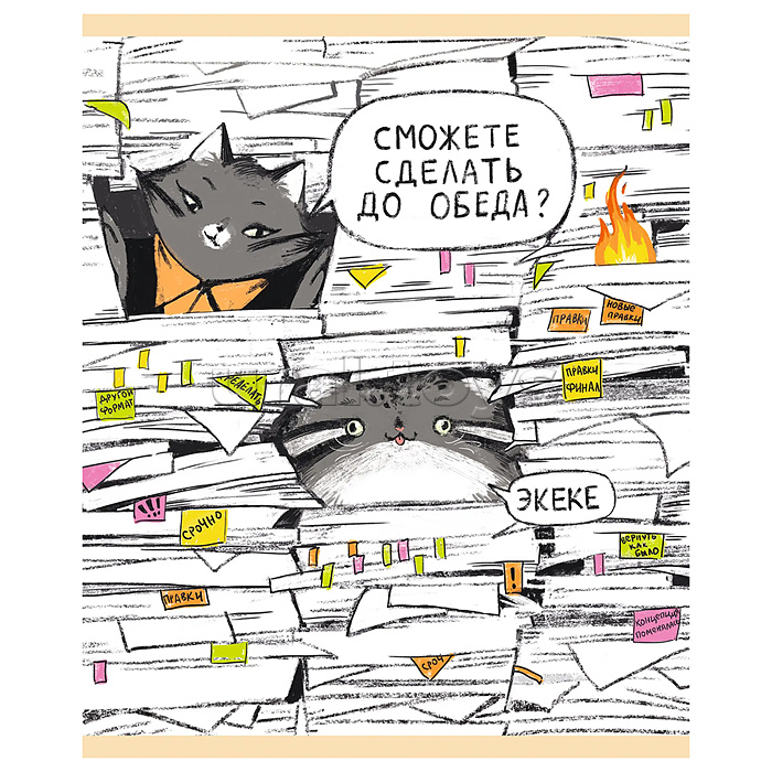 Тетрадь 96л. клетка "Манул Манулыч"