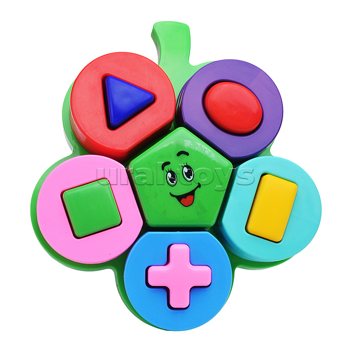 Ромашка-развивашка в сетке