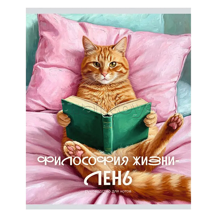 Тетрадь 48л. клетка серая "Кот и лень" А5 скрепка