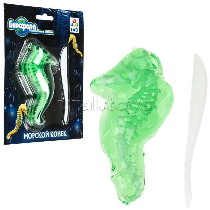 Познавательная анатомия, мини набор "Морской конек" 14х18см