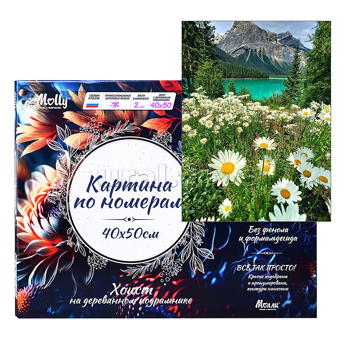 Картина по номерам 40х50 "Ромашковое поле в горах" (25 цветов)