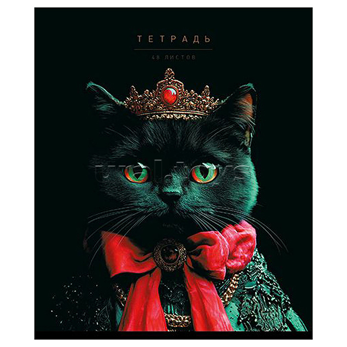 Тетрадь 48л. клетка А5 скрепка S "Я Король!" Премиум 4+0+Матовая ламинация+Выб.УФ-лак+Конгрев