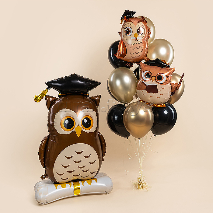 Шар (26''/66 см) Фигура, Сова Выпускник, 1 шт. в уп.