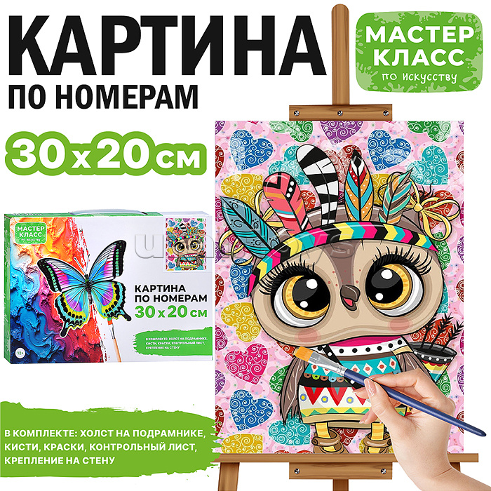 Набор для рисования "Картина по номерам 30х20 см. Совушка"