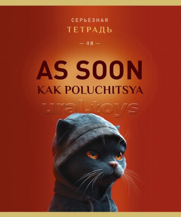 Тетрадь 48л. клетка А5 скрепка S "Может позже" Премиум 4+0+Ламинация матовая+УФ выб