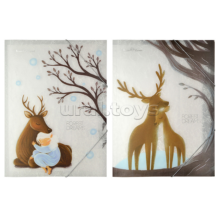 Папка файл на резинке "Forest Dream", А4, 2 вида Папка файл на резинке "Forest Dream", А4, 2 вида