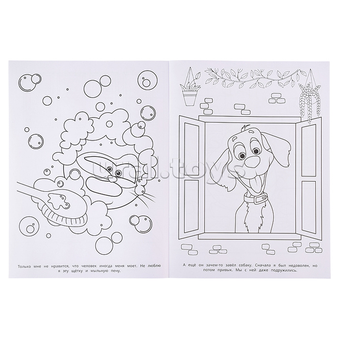 Раскраска. Знаменитый рыжий кот. 214х290 мм. 16 стр.