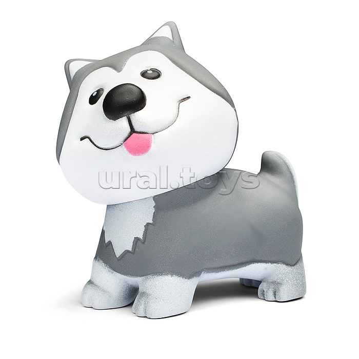 Набор питомец "Дружок" в коробке