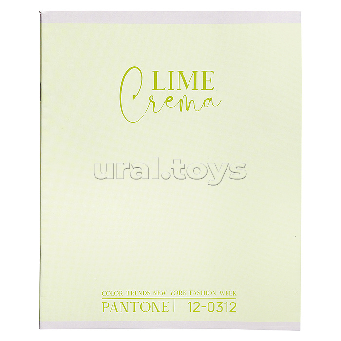 Тетрадь 48л. клетка "Color Trend" А5 скрепка