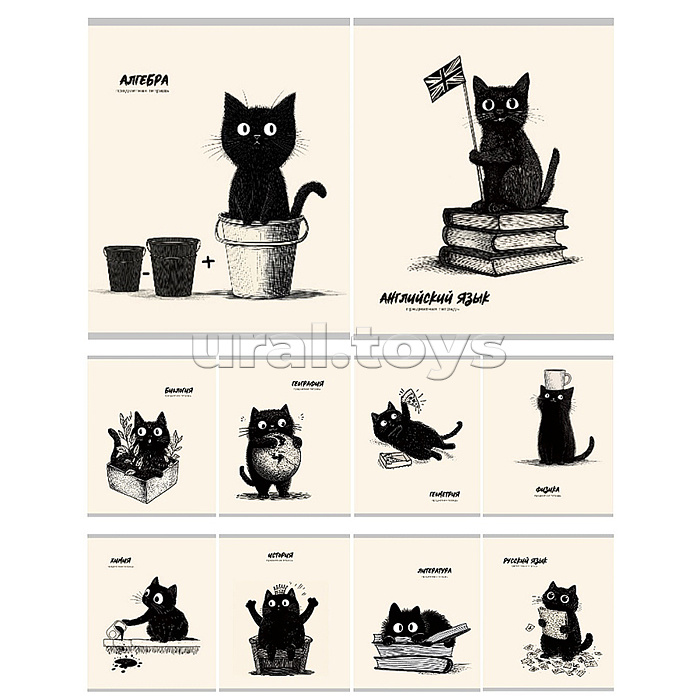 Комплект предметных тетрадей 48л. "Bad cat" тандарт, тиснение холст, вкладыш+пэт 10шт