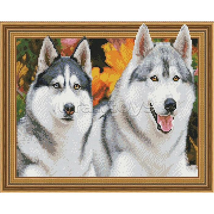 Алмазная мозаика 3D с нанесенной рамкой 40х50 "Хаски" (31 цвет)