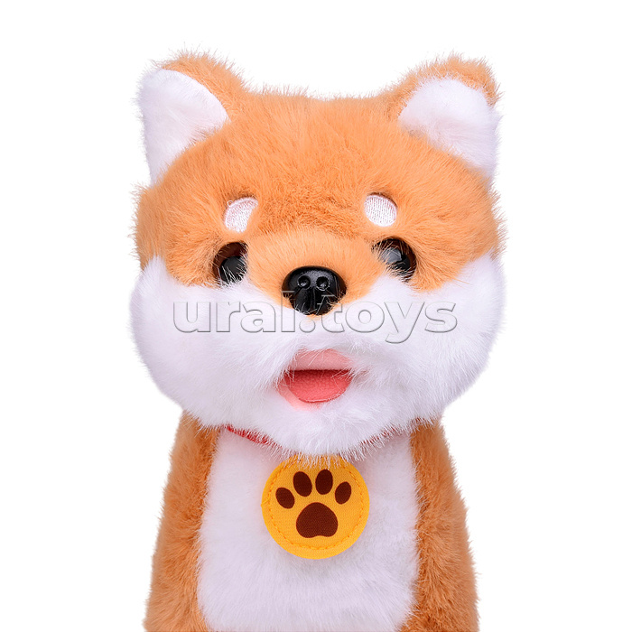 Собака "Персик" (поет, ходит, повторяет) в пакете