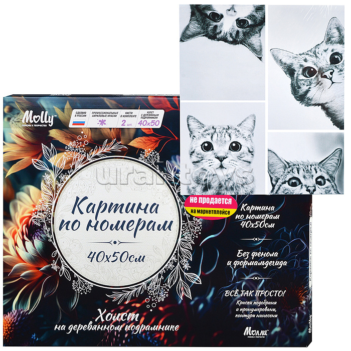 Картина по номерам 40х50 "Мемчики. Наташ, вставай!" (7 цветов) НЕ ДЛЯ ПРОДАЖИ НА МАРКЕТПЛЕЙСАХ