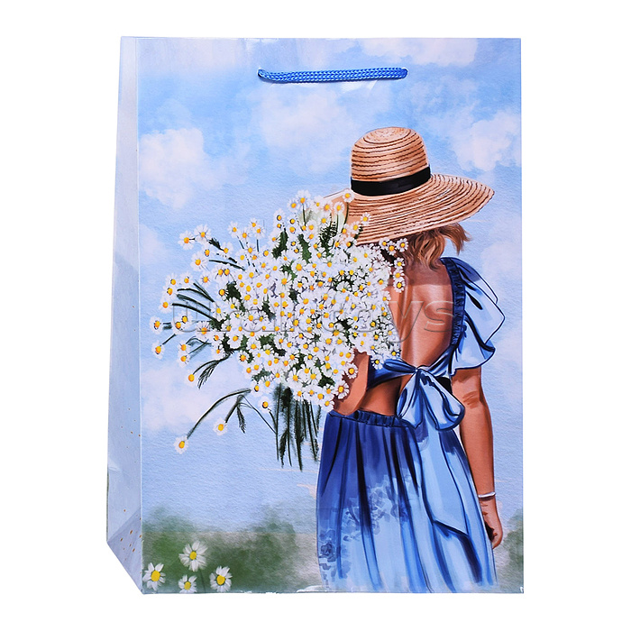 Пакет подарочный с глянцевой ламинацией 22х31х10 см (ML) Ромашковый букет 128 г (соб.разр)