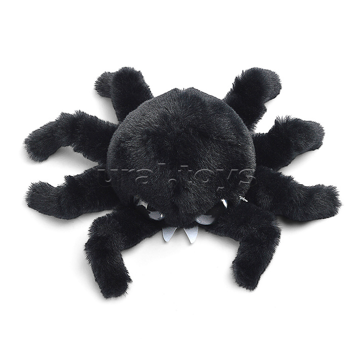 Паук Жорик чёрный В15