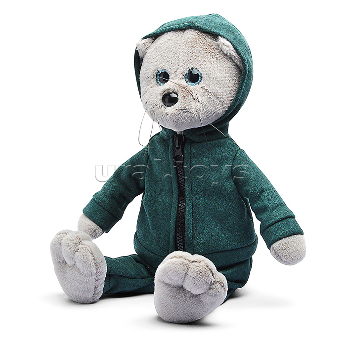 Кот Фаня в спортивном костюме В27