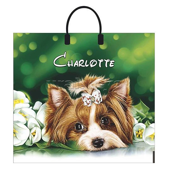 Пакет ПЭ с пластиковой ручкой 38х35, 90мкм "Шарлотта" ламинированный