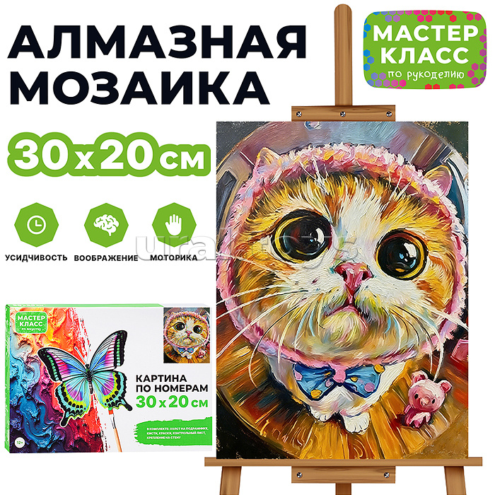 Картина по номерам "Большие глаза" 30х20 см.