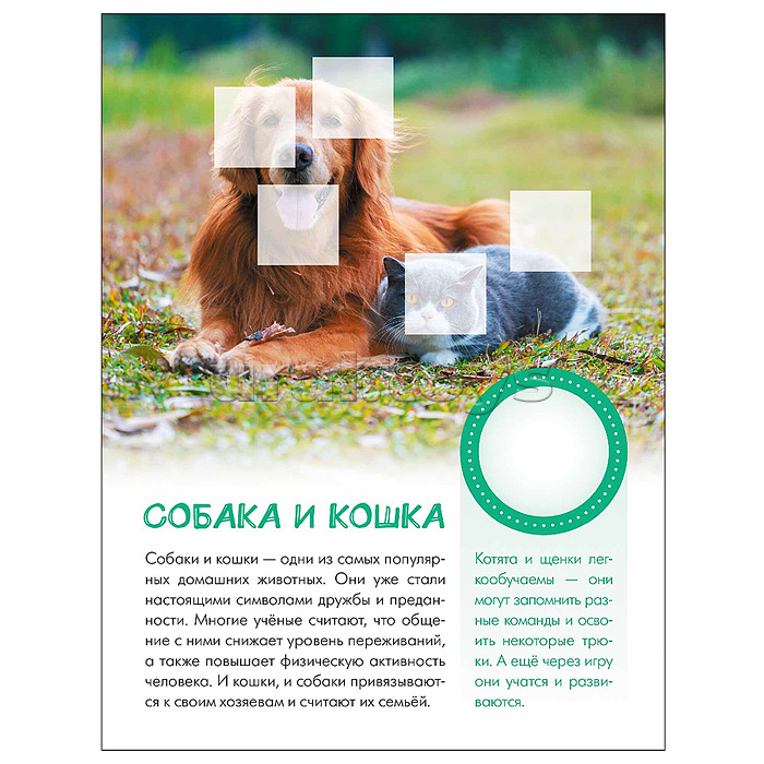 Мир животных с наклейками. Кто живёт в деревне?