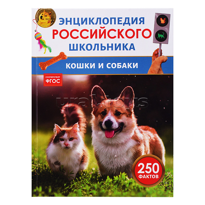 Кошки и собаки. Энциклопедия российского школьника