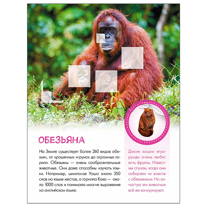 Мир животных с наклейками. Кто живёт в зоопарке?