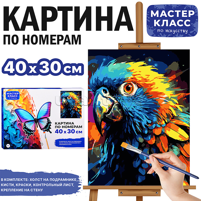 Набор для рисования "Картина по номерам 30х40 см. Попугай"
