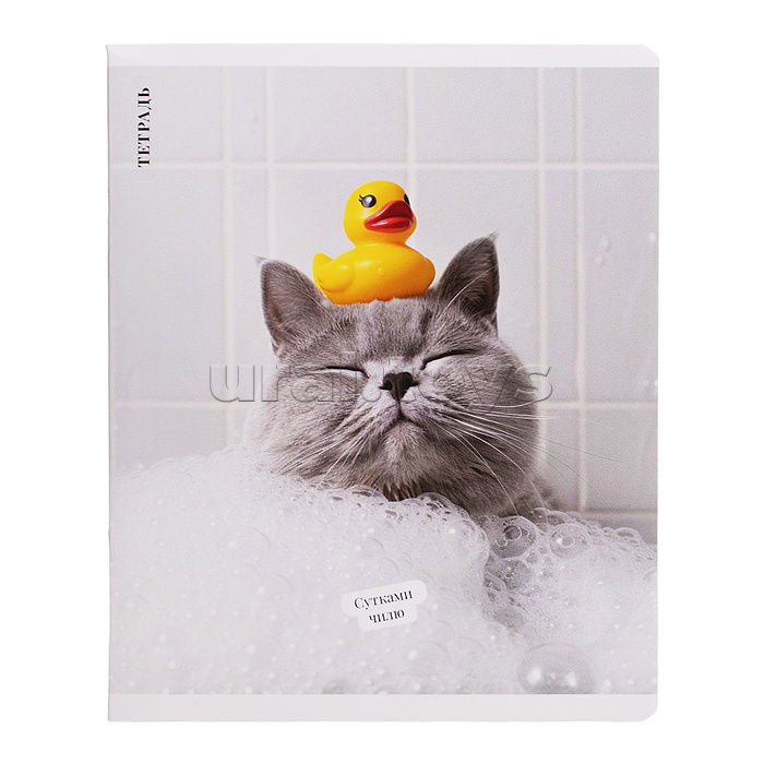 Тетрадь 48 л, клетка "Кот с уткой" А5+, мягкий переплёт (2 скобы)