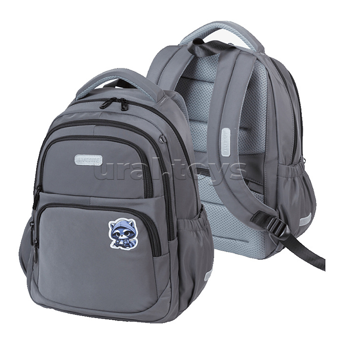 Рюкзак "Zoom. Cool Raccoon"  школьный 38x30x19 см (16 л) 550 г, плотный износостойкий полиэстер с водоотталкивающей пропиткой, 1 отделение на молнии с уплотненным отделением для ноутбука до 15 дюймов и книг, 2 передних отделения на молнии, 1 передний карм
