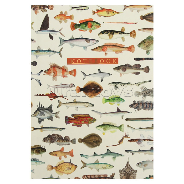 Книжка записная 64л. А6 "Рыбы"