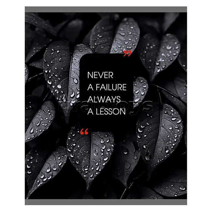 Тетрадь 48л. клетка "Natural Black" А5 скрепка