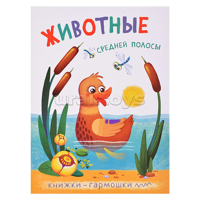 Книжка-гармошка "Животные средней полосы" Книжка-гармошка "Животные средней полосы"