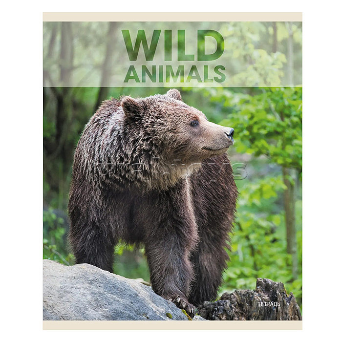 Тетрадь 96л. А5, клетка "Wild animals" скрепка Тетрадь 96л. А5, клетка "Wild animals" скрепка