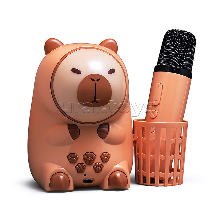 Караоке - центр игрушечный "Поем вместе" в коробке