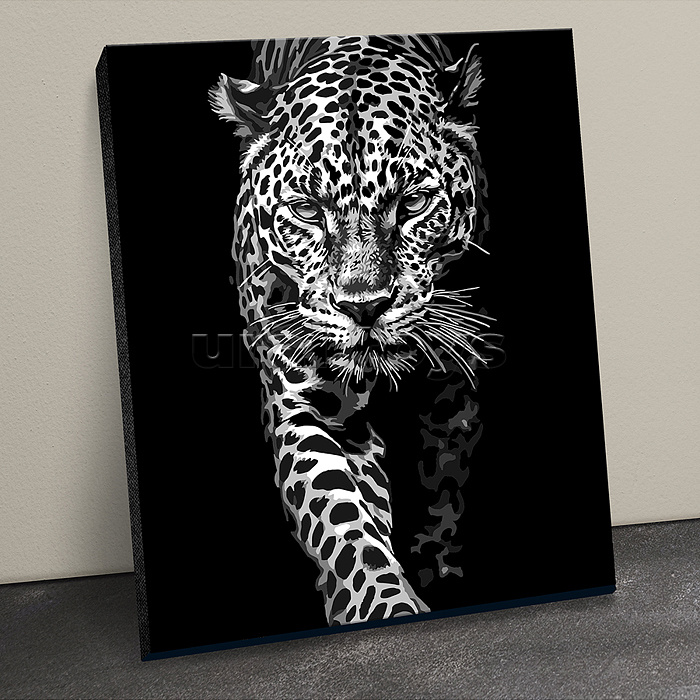 Картина по номерам 40х50 "Грациозный леопард" черный холст (5 цветов)