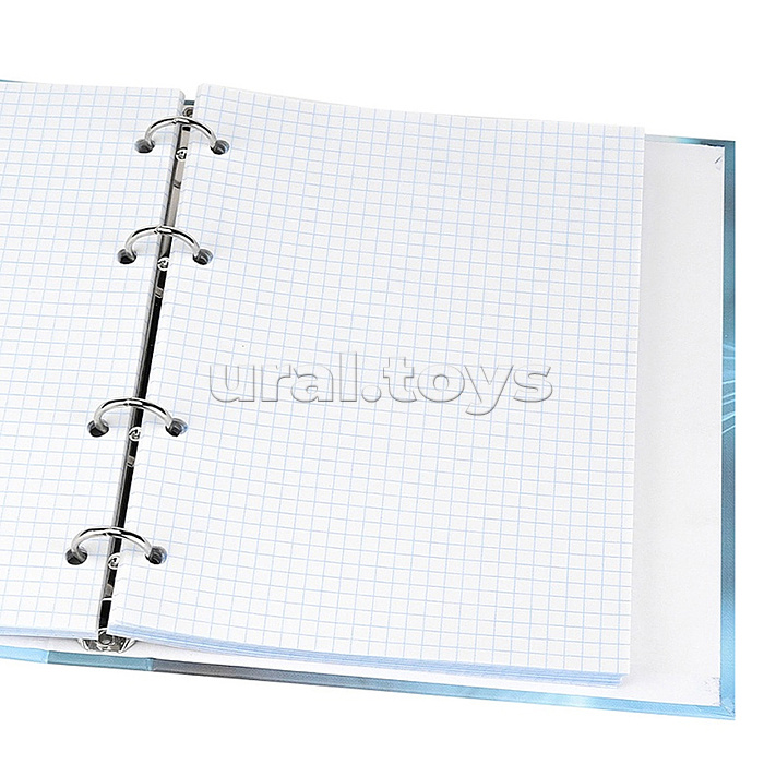 Тетрадь 80л. клетка "Голубоглазая кошка" на кольцах, глянцевая ламинац, лен