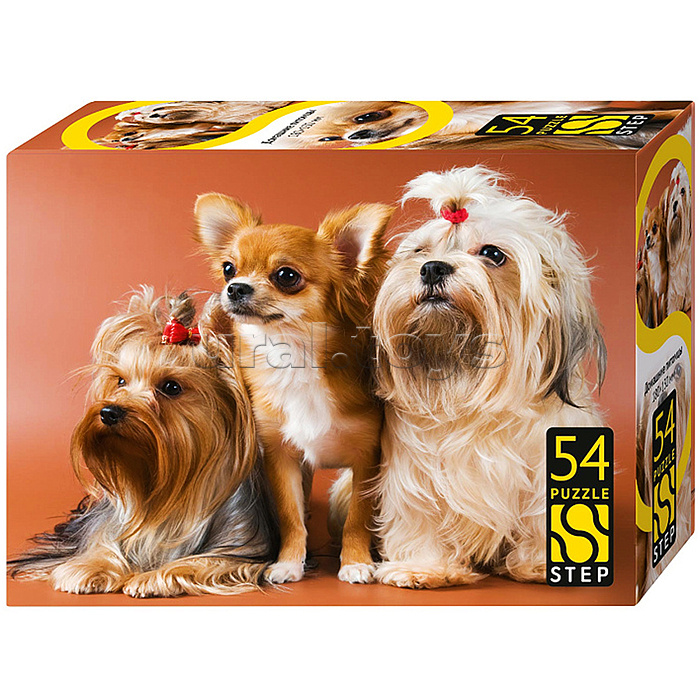 Пазлы 54 "Домашние питомцы"