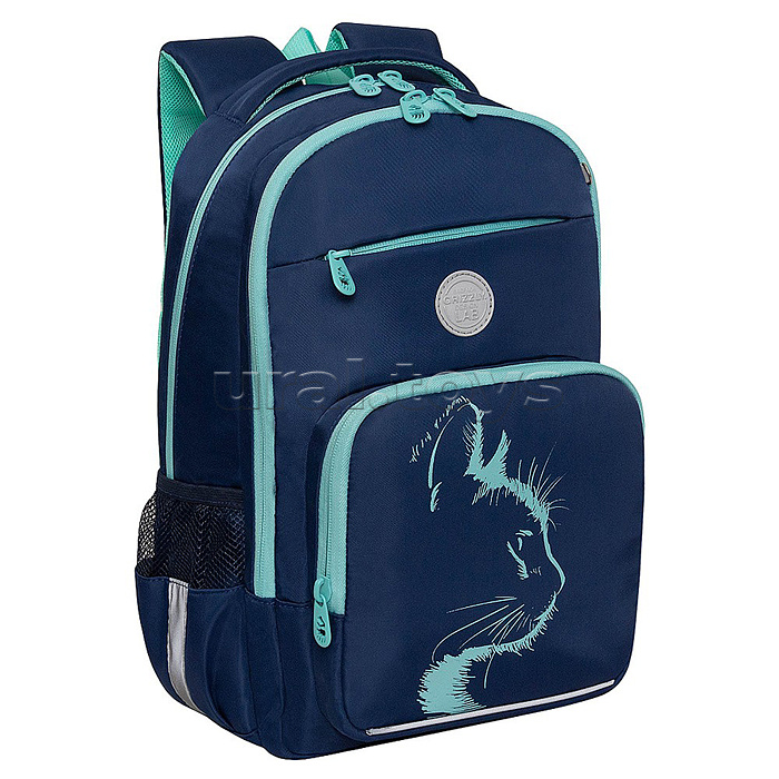 Рюкзак школьный (/1 синий)