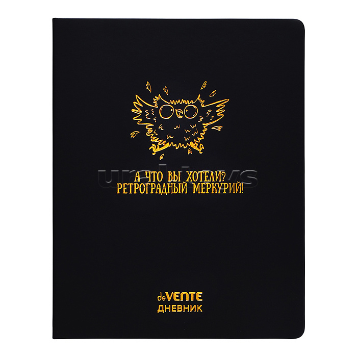 Дневник 1-11кл. "Ретроградный Меркурий" универсальный блок, 48 листов, белая бумага 80 г/м², печать в 1 краску, твердая обложка из искусственной кожи, тиснение фольгой, 1 ляссе