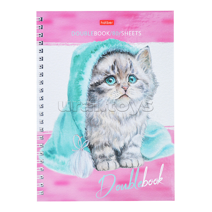 Тетрадь 80л. клетка "Эти заМУРчательные кошки" А5 на гребне