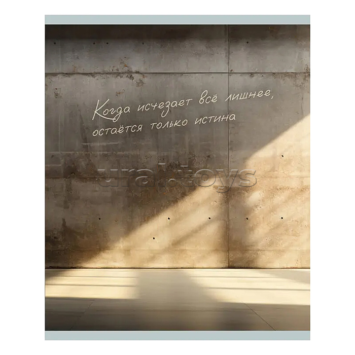 Тетрадь 96л. клетка "Тишина между строк"  А5 скрепка