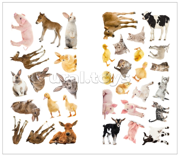 Фотонаклейки. В деревне