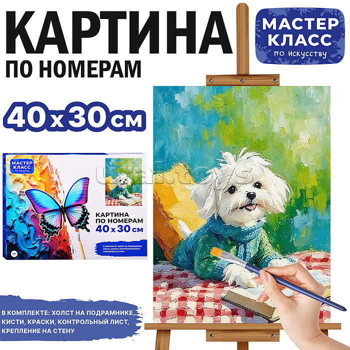 Картина по номерам MKR4030-150 "Отдых за книгой"  40х30 см.