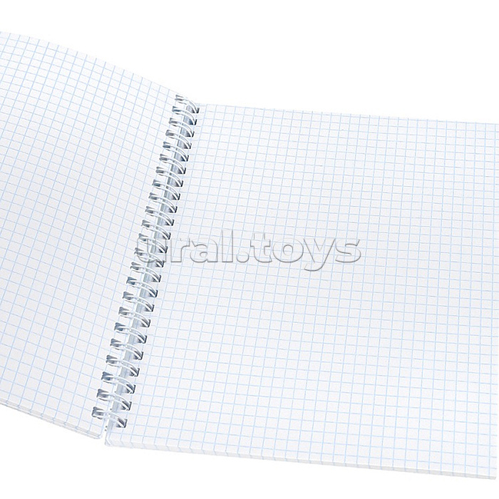 Тетрадь 48л. клетка "Забавные коты - 2" гребень, цвет. мелов. обл.