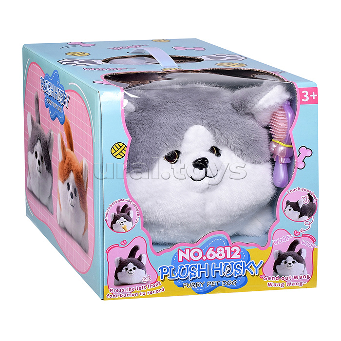 Собака "Пушистик" в коробке