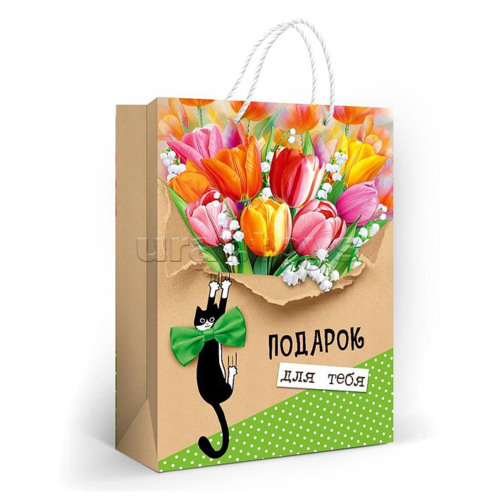 Пакет подарочный «Подарок для тебя»