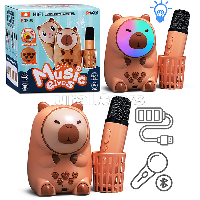 Караоке - центр игрушечный "Поем вместе" в коробке