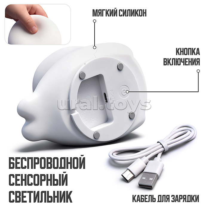 Ночник "Милый морской котик" в коробке