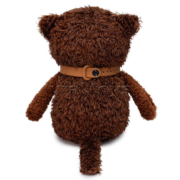 Кофейные коты Американо